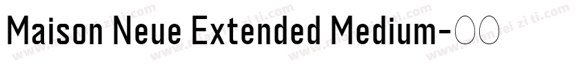 Maison Neue Extended Medium字体转换